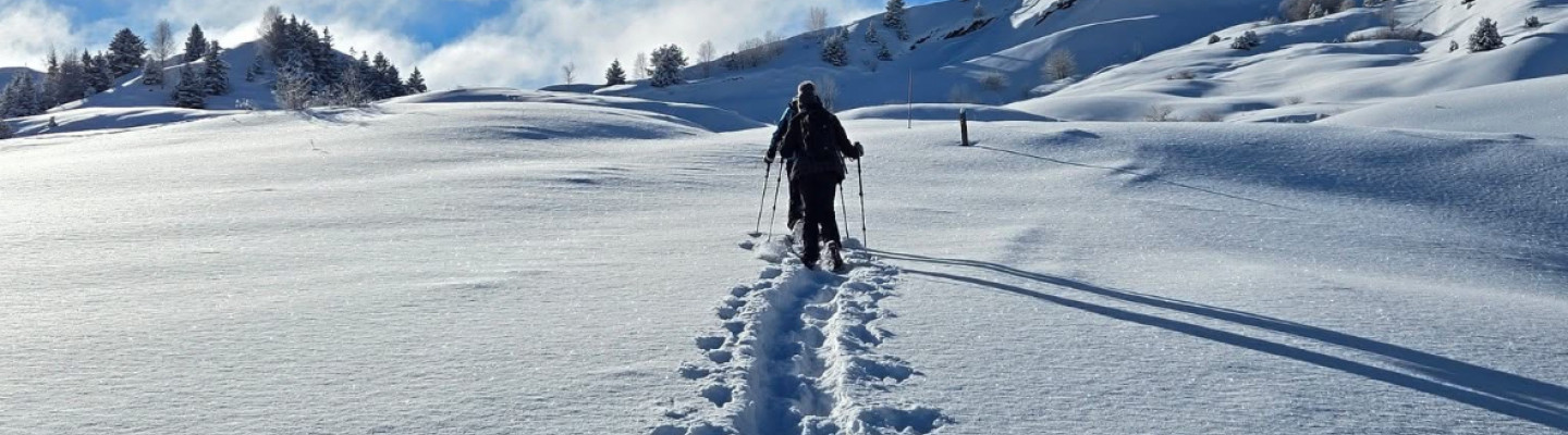 Snowshoeing or nordic walking