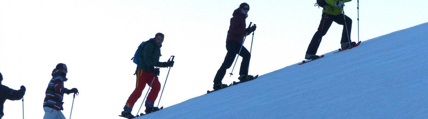 Snowshoeing or nordic walking