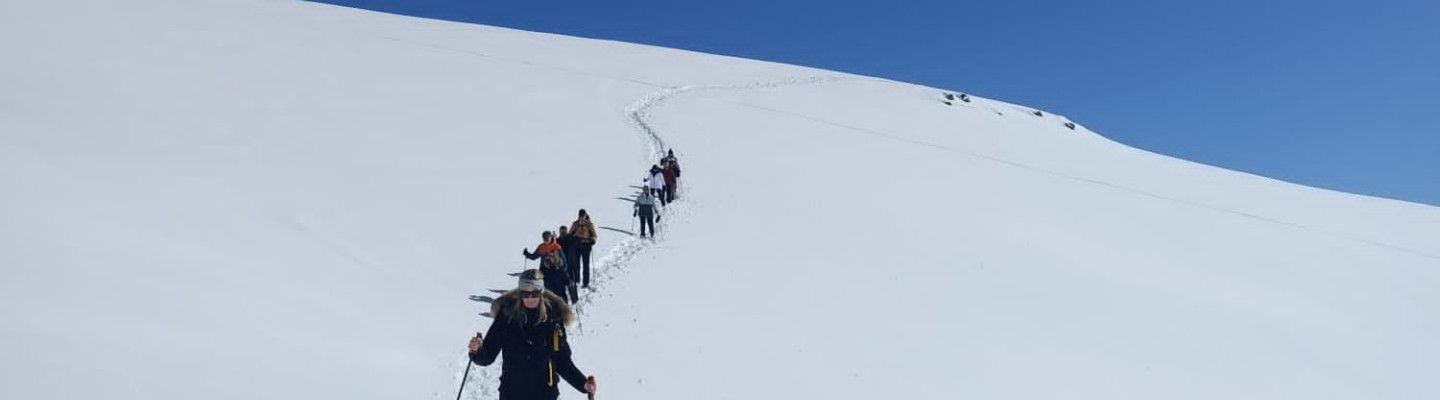 Snowshoeing or nordic walking